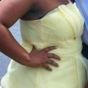 Plus-Size David's Bridal Short Strapless Organza Dress With Ruched Waist